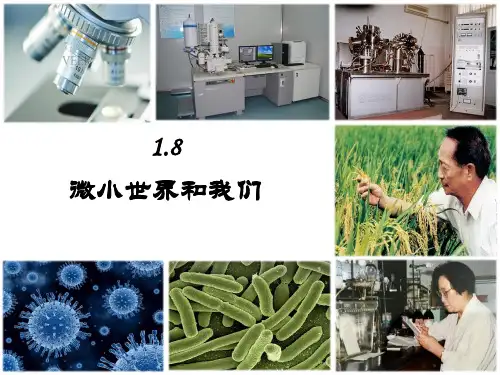 六年级科学下册微小世界和我们教科版