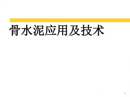 骨水泥及应用技术