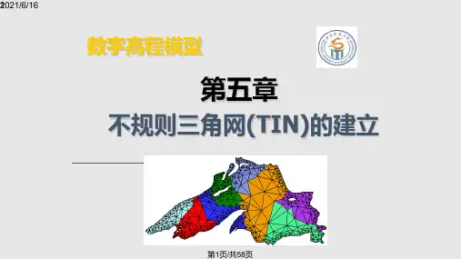 工学不规则三角网TIN的建立PPT课件