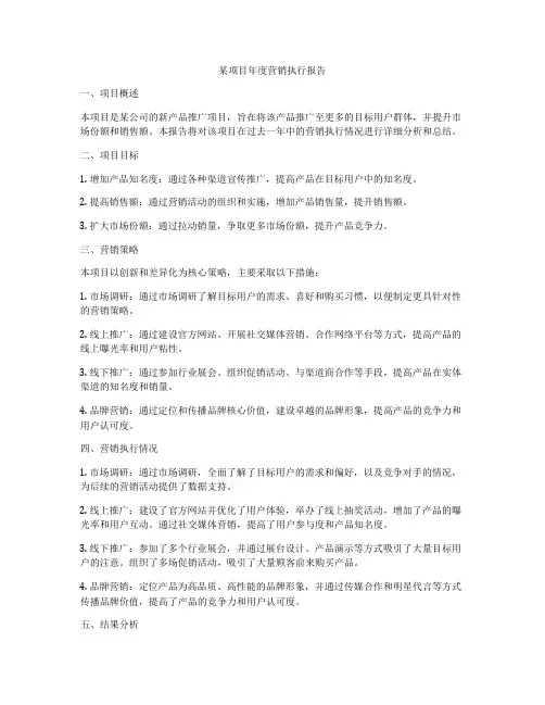 某项目年度营销执行报告