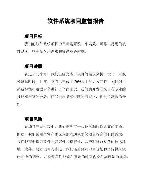 软件系统项目监督报告