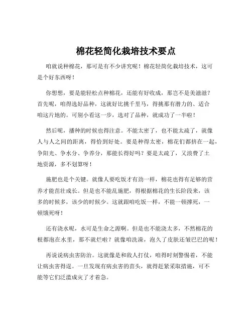 棉花轻简化栽培技术要点