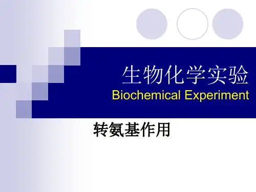 转氨基作用