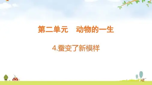 小学科学三年级下册2-4《蚕变了新模样》
