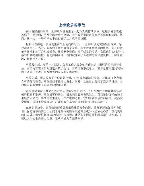 上海欢乐谷事故13
