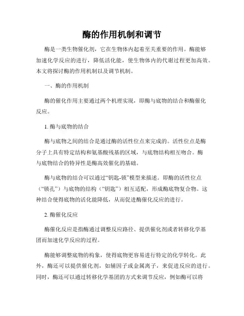 酶的作用机制和调节