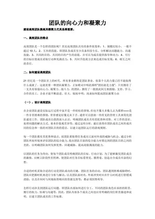 团队的向心力和凝聚力