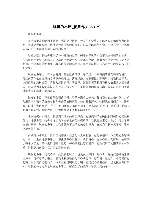 蜿蜒的小路_优秀作文800字