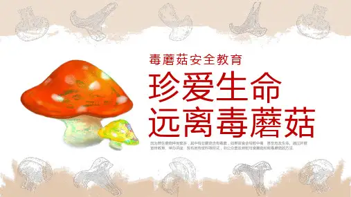 珍爱生命远离毒蘑菇安全教育ppt课件