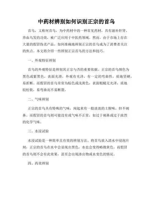 中药材辨别如何识别正宗的首乌