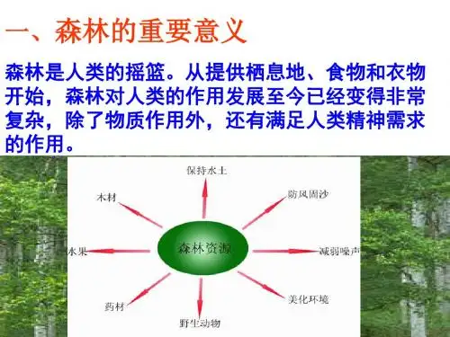 森林的重要意义