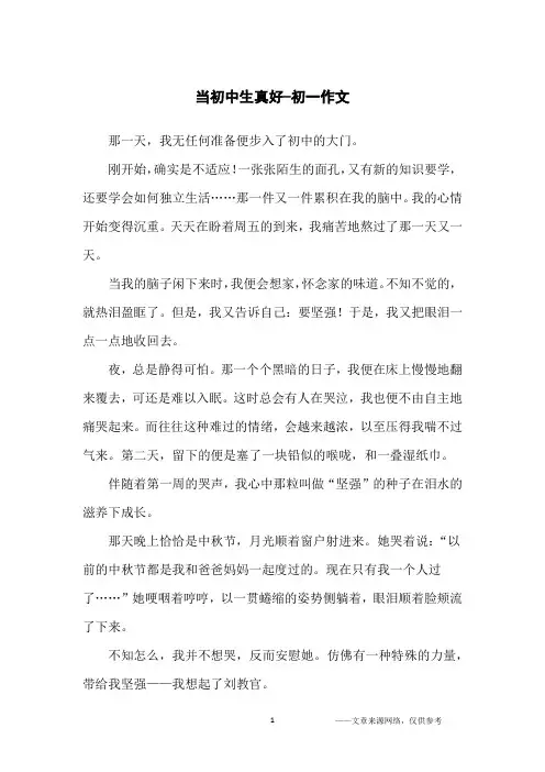 当初中生真好-初一作文