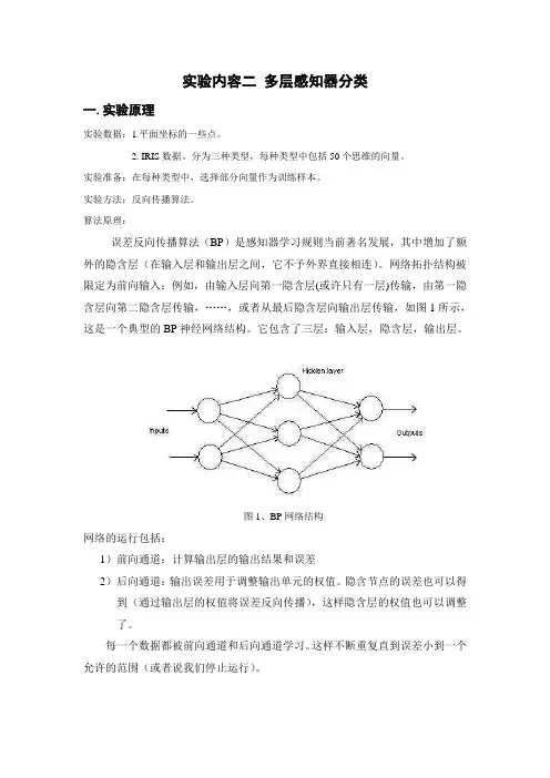 bp实验报告