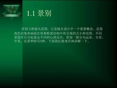 第1章影视剪辑基础理论ppt课件