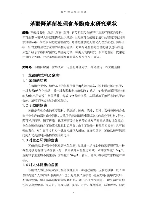 苯酚降解菌处理含苯酚废水研究现状
