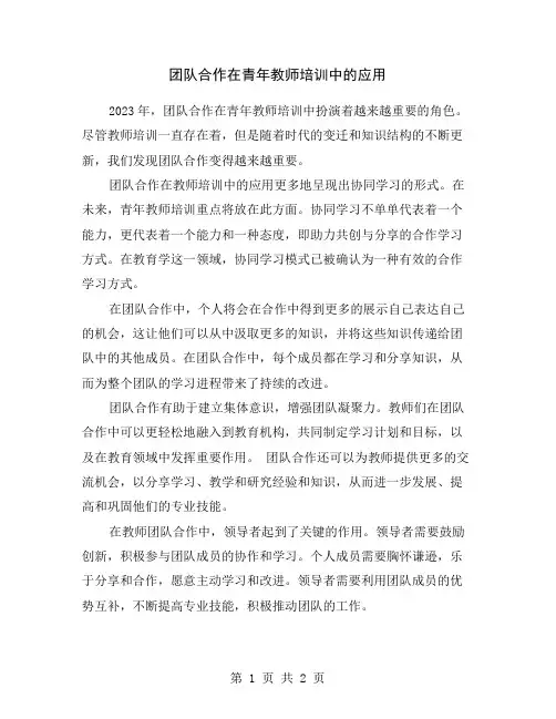 团队合作在青年教师培训中的应用