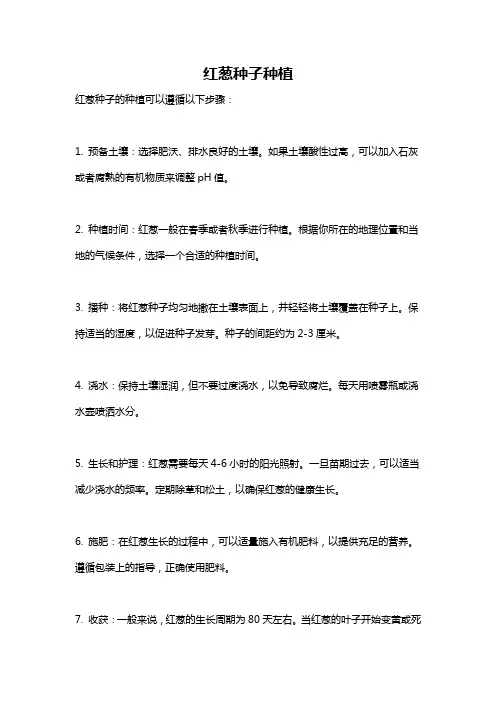 红葱种子种植