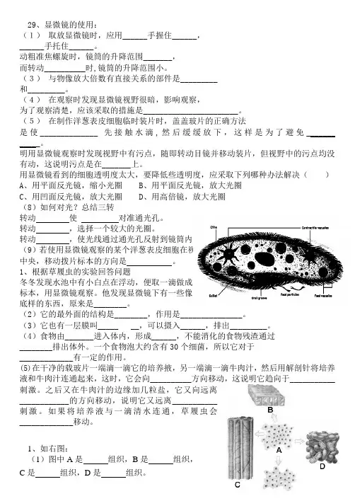 七年级上册生物识图题集锦1
