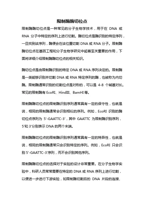 限制酶酶切位点