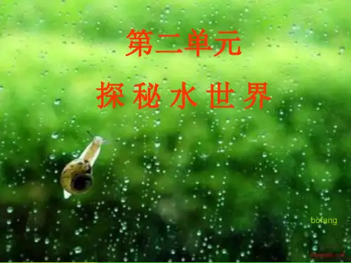 鲁教版九年级化学上册《第二单元 探秘水世界》复习课件(共38张ppt)