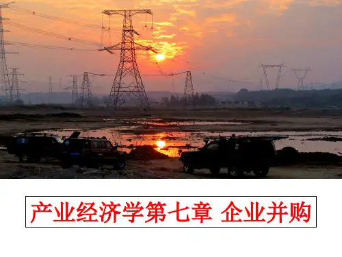 最新产业经济学第七章 企业并购