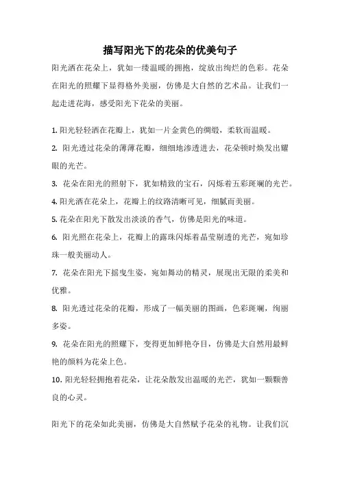 描写阳光下的花朵的优美句子