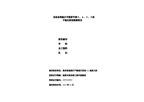 甲摆滑坡勘察报告送交.