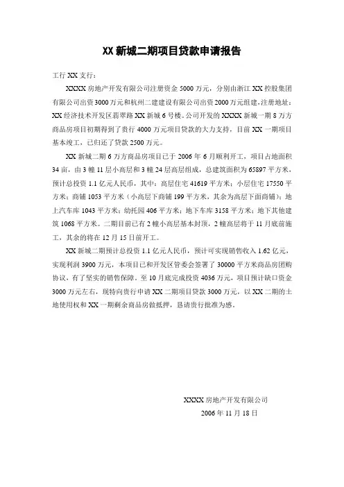 XX项目贷款申请报告