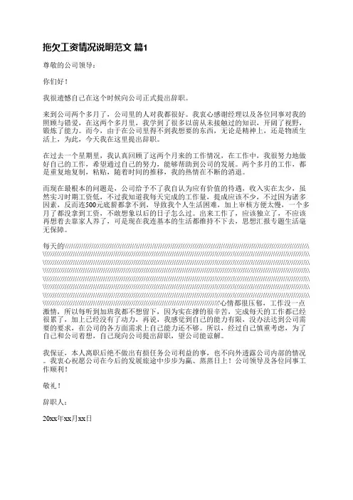 拖欠工资情况说明范文(精选27篇)