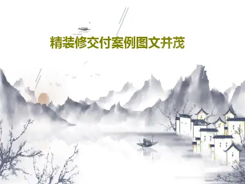精装修交付案例图文并茂50页PPT