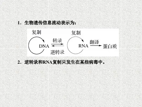 高中生物必修2课件：4-2 基因对性状的控制