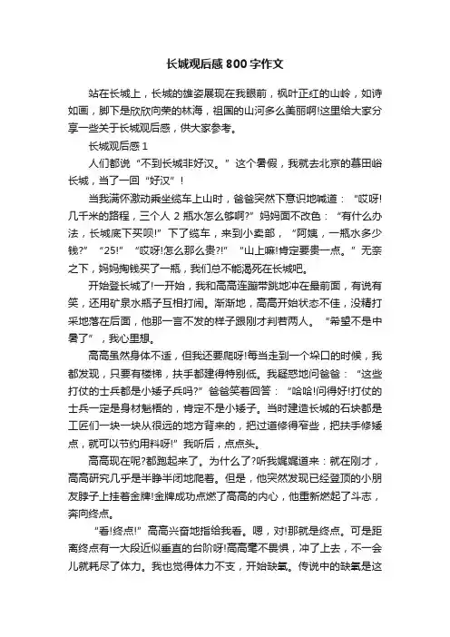长城观后感800字作文