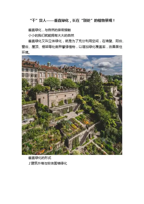 “干”货人——垂直绿化，长在“别处”的植物景观！