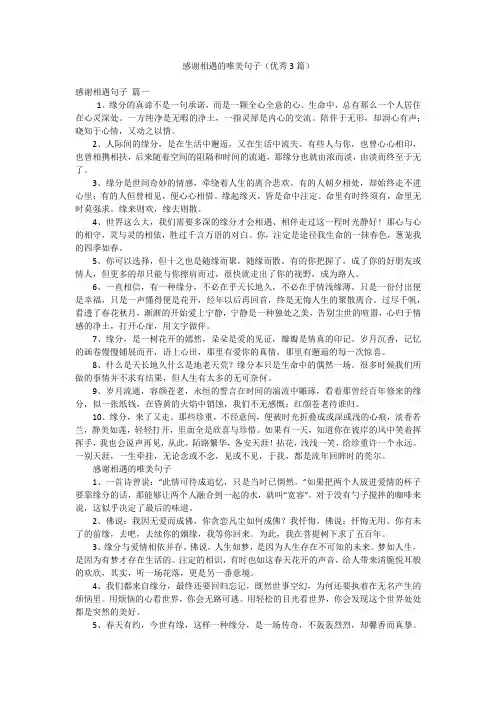 感谢相遇的唯美句子(优秀3篇)