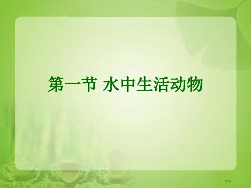 《水中生活的动物》第一课时参考省公开课金奖全国赛课一等奖微课获奖PPT课件