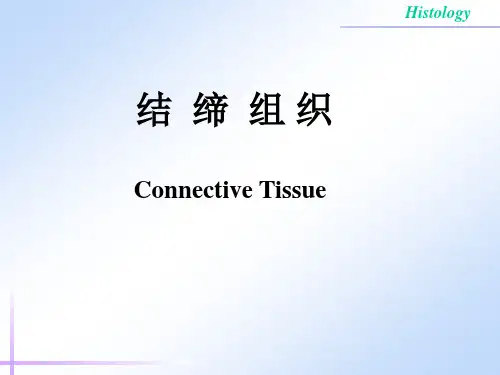 组织学与胚胎学 第3章结缔组织
