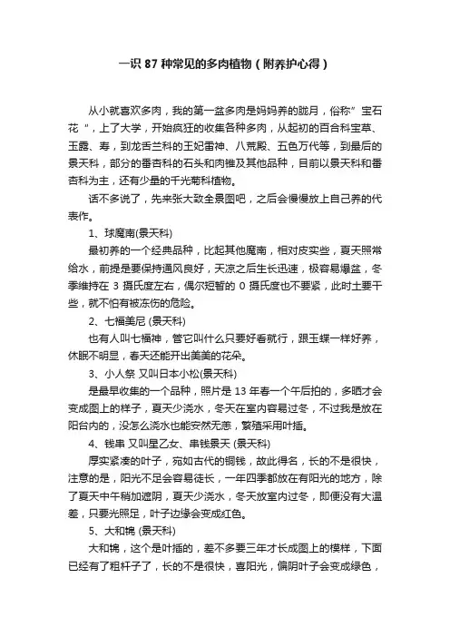 一识87种常见的多肉植物（附养护心得）