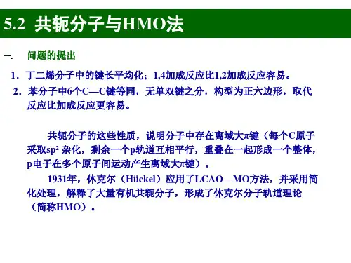 HMO方法 复旦解析
