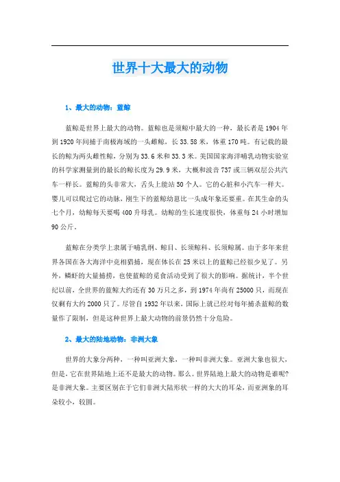 世界十大最大的动物