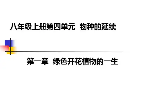 济南版生物学八年级上册复习 ppt