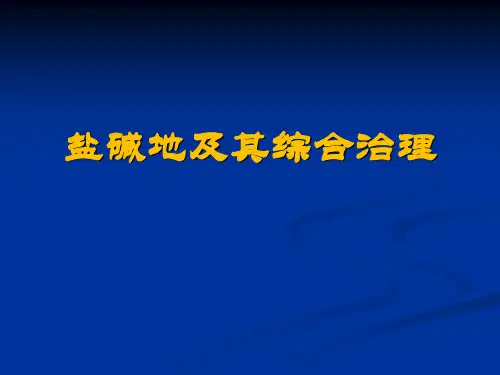 盐碱地及其综合治理精品PPT课件