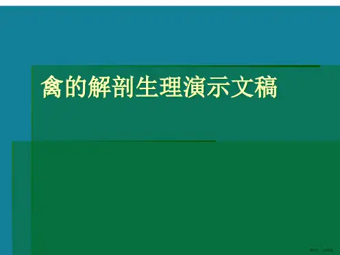 禽的解剖生理演示文稿