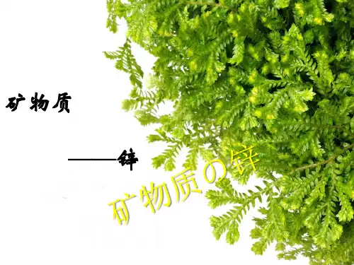 矿物质锌ppt课件
