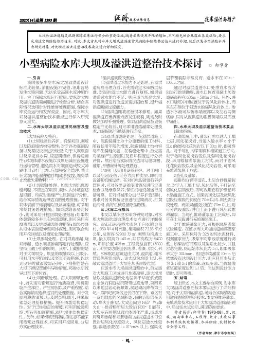 小型病险水库大坝及溢洪道整治技术探讨