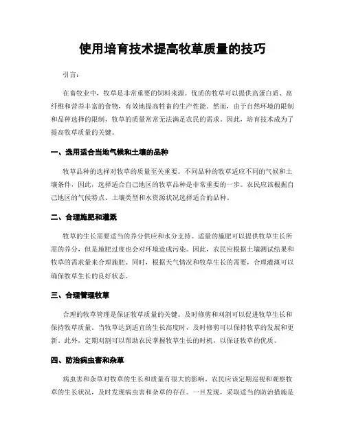 使用培育技术提高牧草质量的技巧