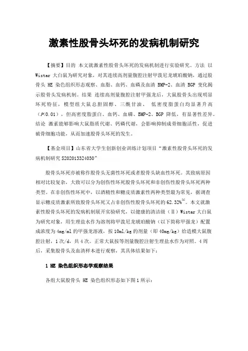 激素性股骨头坏死的发病机制研究