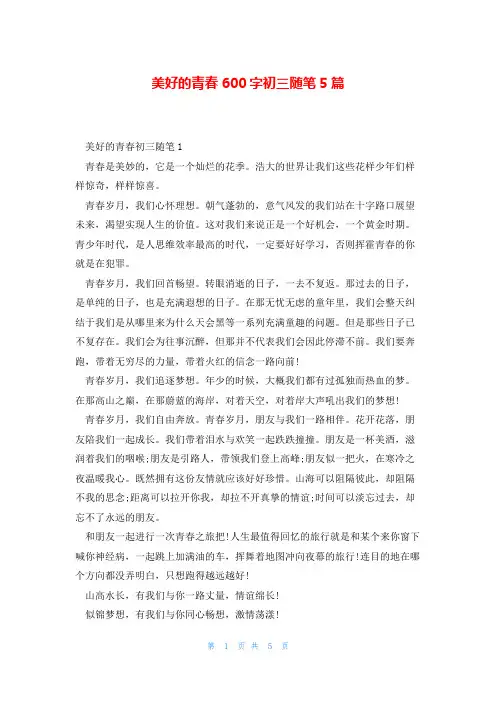 美好的青春600字初三随笔5篇