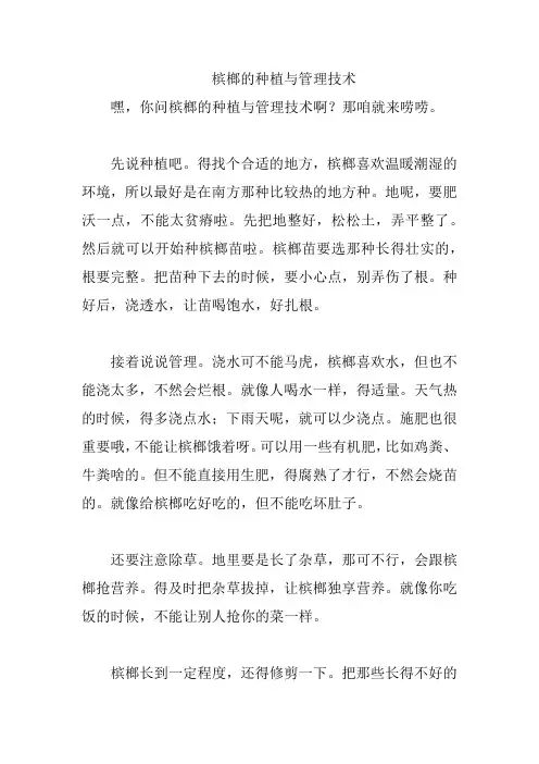 槟榔的种植与管理技术