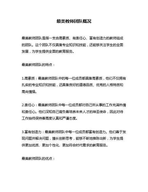 最美教师团队概况