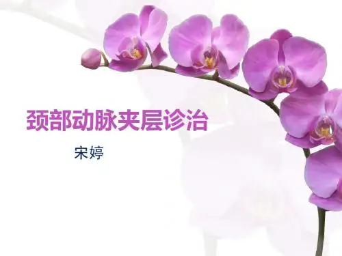 颈部动脉夹层诊治